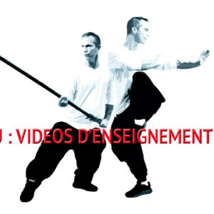 Vidéos d'enseignement en ligne